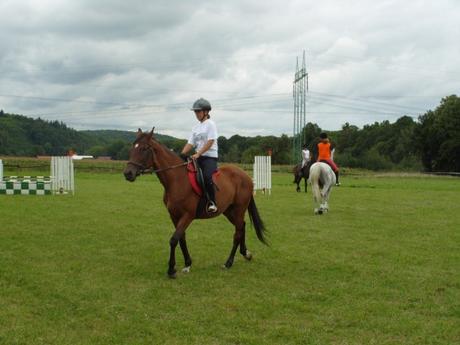 SK 2008