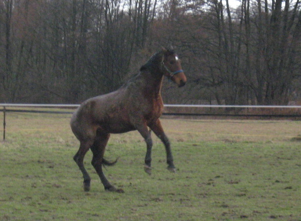 Freestyle :D