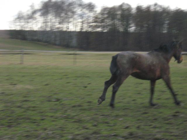 Běžííí